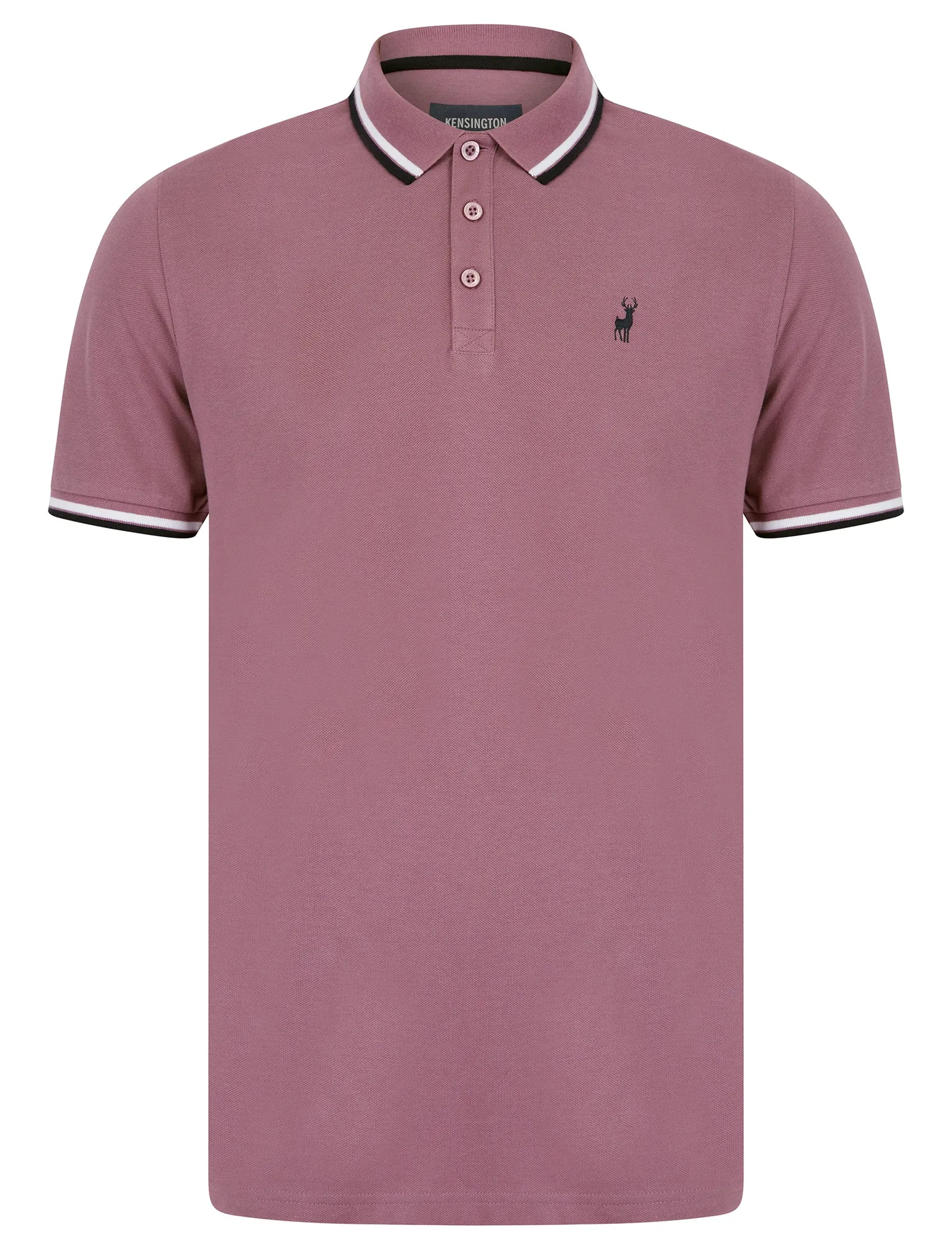 Thomas (2 Pack) Cotton Pique Polo Shirt in Grapeade / Forget Me Not Blue - Kensington Eastside