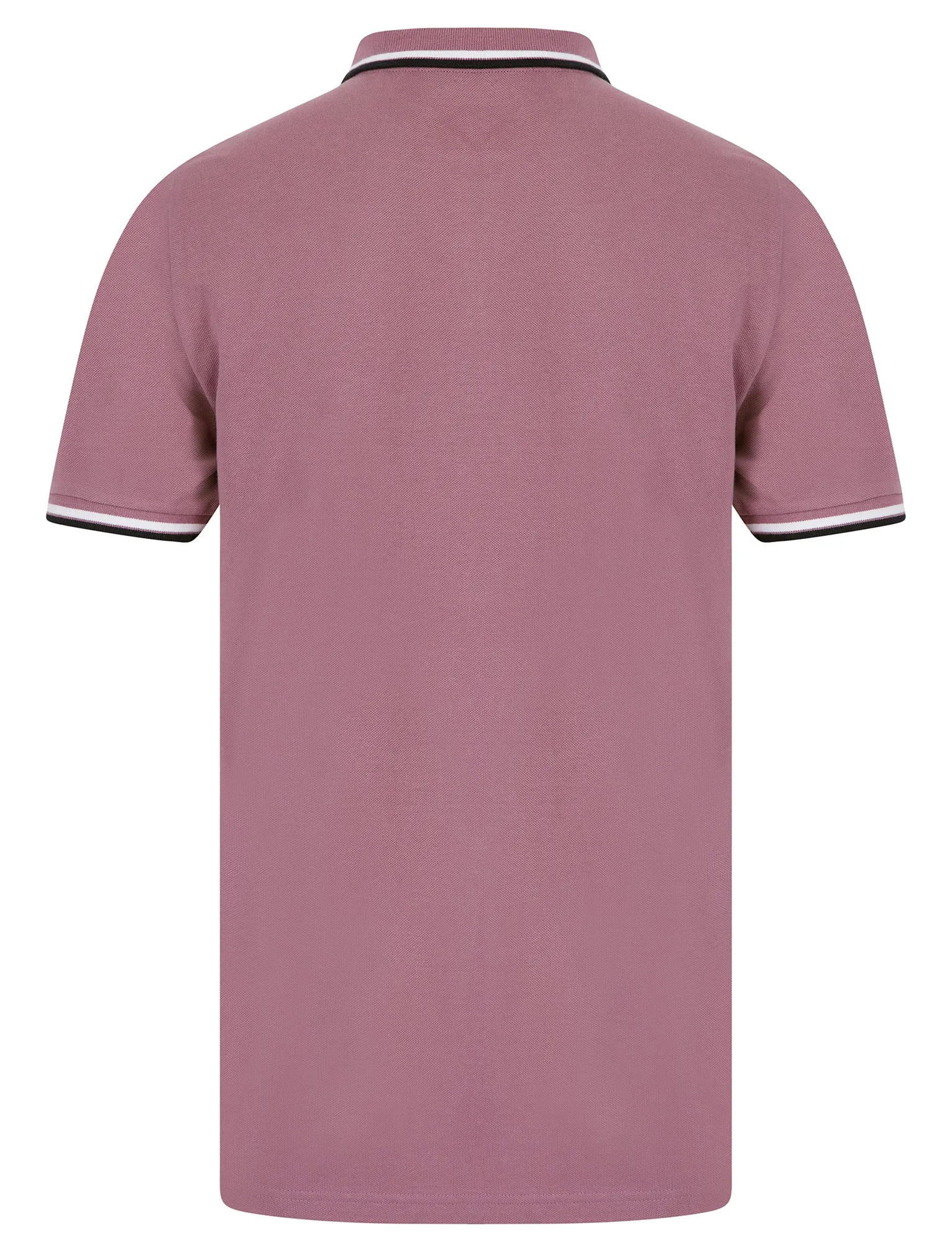 Thomas (2 Pack) Cotton Pique Polo Shirt in Grapeade / Forget Me Not Blue - Kensington Eastside